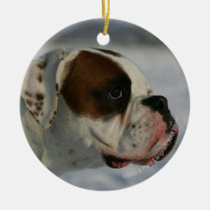 Boxarehund i snön julgransprydnad keramik