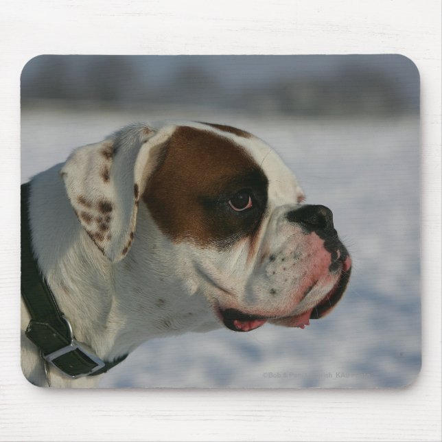 Boxarehund i snön musmatta (Framsidan)