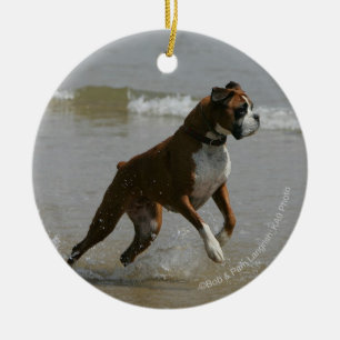 Boxarehund i vatten julgransprydnad keramik