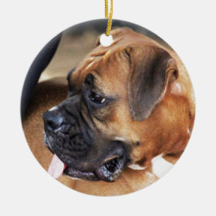 Boxarehund Julgransprydnad Keramik