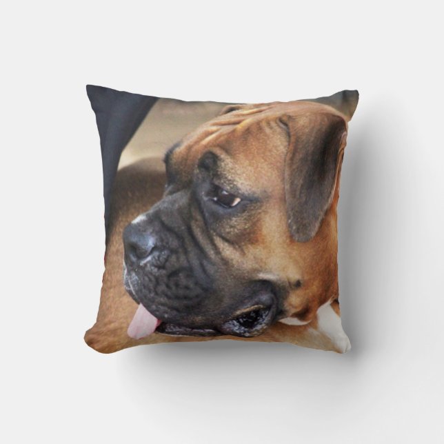 Boxarehund Kudde (Framsida)