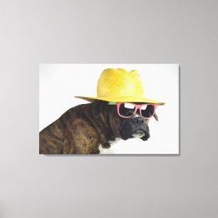 Boxarehund med hatten och exponeringsglas canvastryck