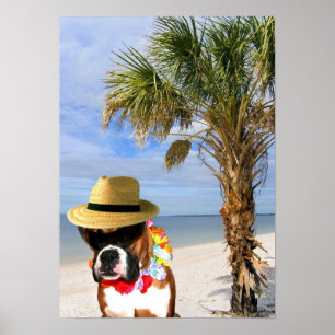 Boxarehund på strandaffischen poster