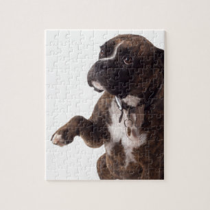 boxarehund pussel