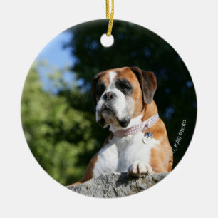 Boxarehund som lägger på en sten julgransprydnad keramik