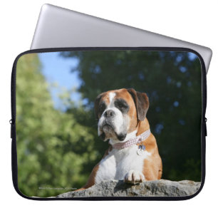 Boxarehund som lägger på en sten laptop sleeve