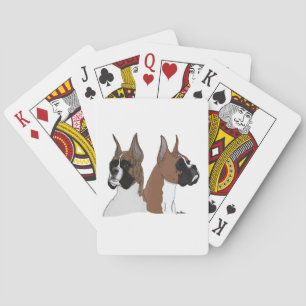 Boxarehund som leker kort casinokort
