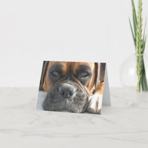 Boxarehund tomma Notecard Kort