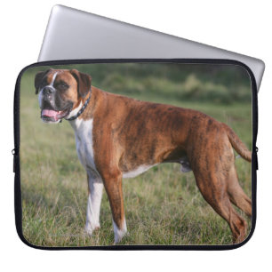 Boxarehundanseende Laptop Sleeve