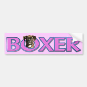 Boxarehundbildekal Bildekal