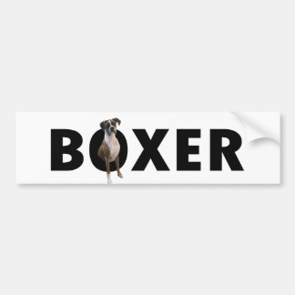 Boxarehundbildekal - BOXARE Bildekal