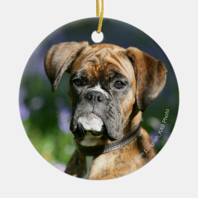 BoxarehundHeadshot Julgransprydnad Keramik (Framsidan)