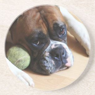 Boxarehundkustfartyg Underlägg