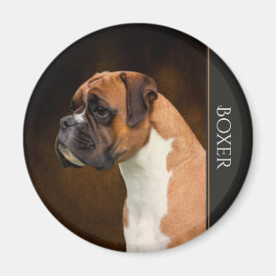 Boxarehundmagnet Magnet