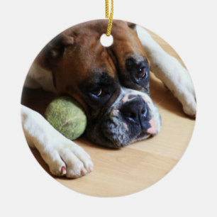 Boxarehundprydnad Julgransprydnad Keramik