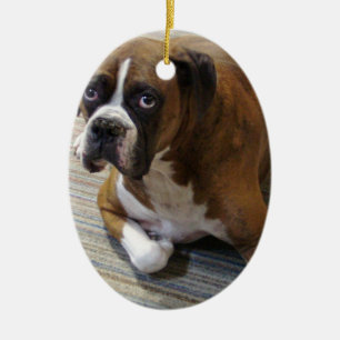 Boxarehundprydnad Julgransprydnad Keramik