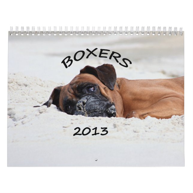 Boxarekalender 2013 kalender (Omslag)