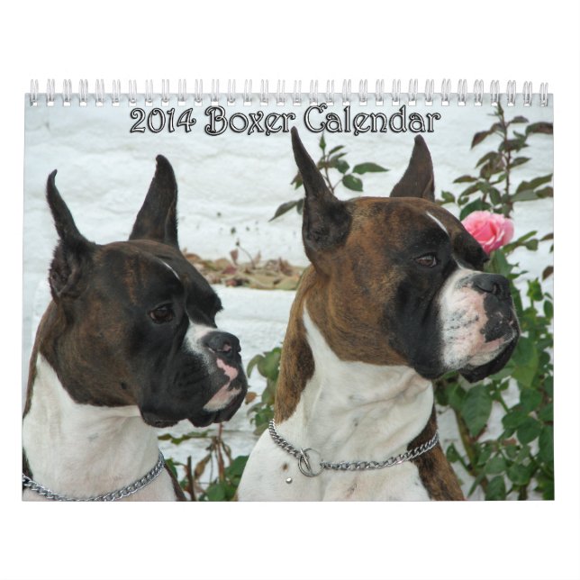 Boxarekalender 2014 kalender (Omslag)