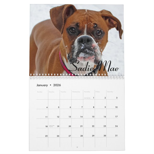 Boxarekalender 2015 kalender (Jan 2026)