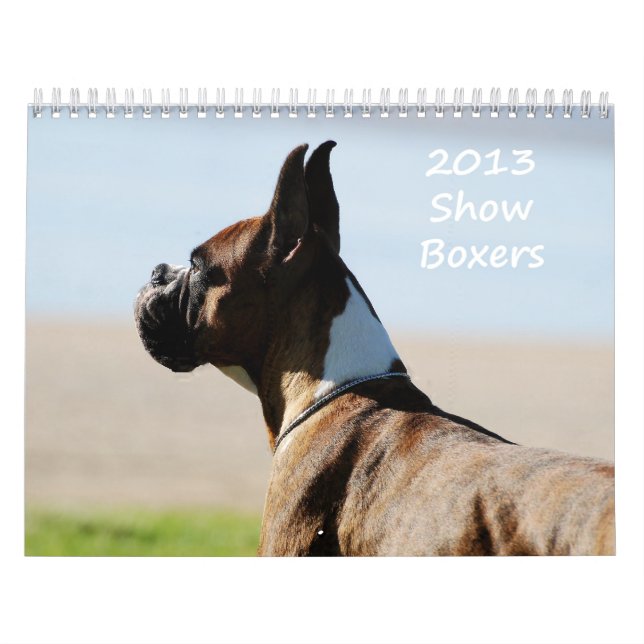 Boxarekalender för 2013 Show Kalender (Omslag)