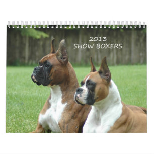 Boxarekalender för 2013 Show Kalender
