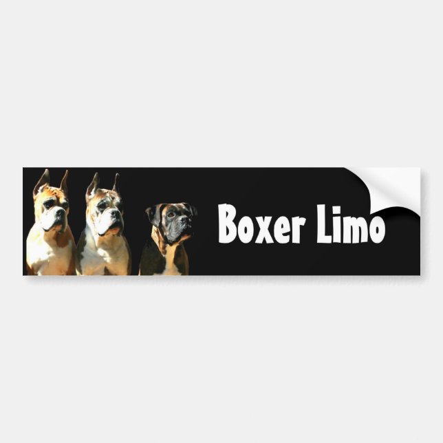 Boxarelimobildekal Bildekal (Framsidan)