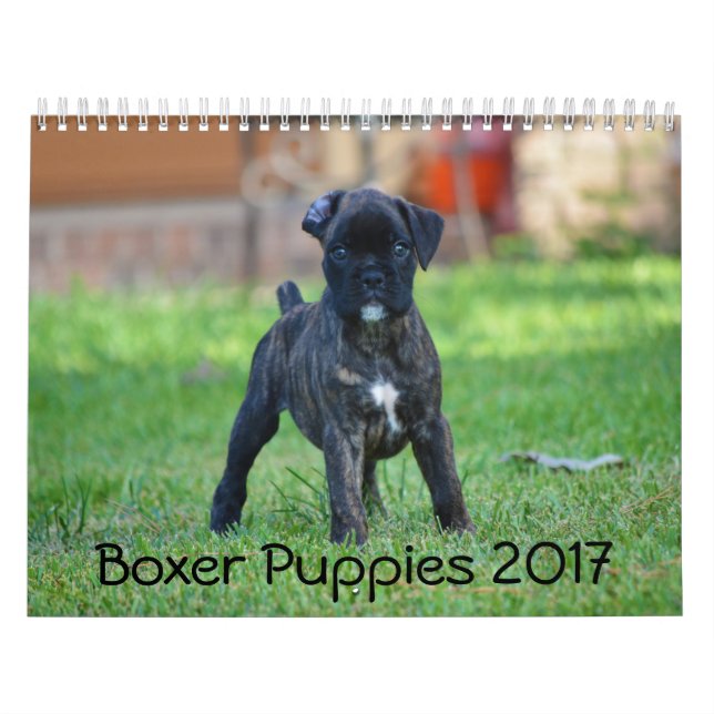 Boxarevalpar 2017 kalender (Omslag)