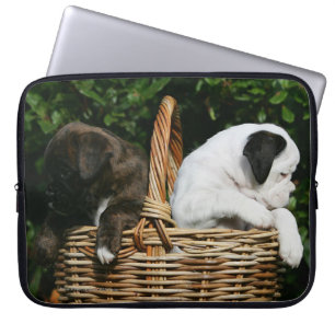 Boxarevalpar i basket laptop fodral