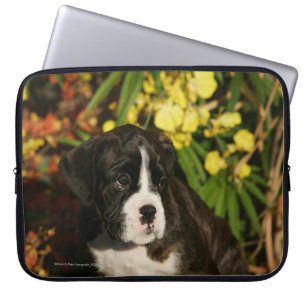 Boxarevalpar Laptop Sleeve