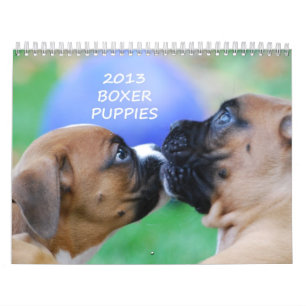 Boxarevalpkalender 2013 kalender