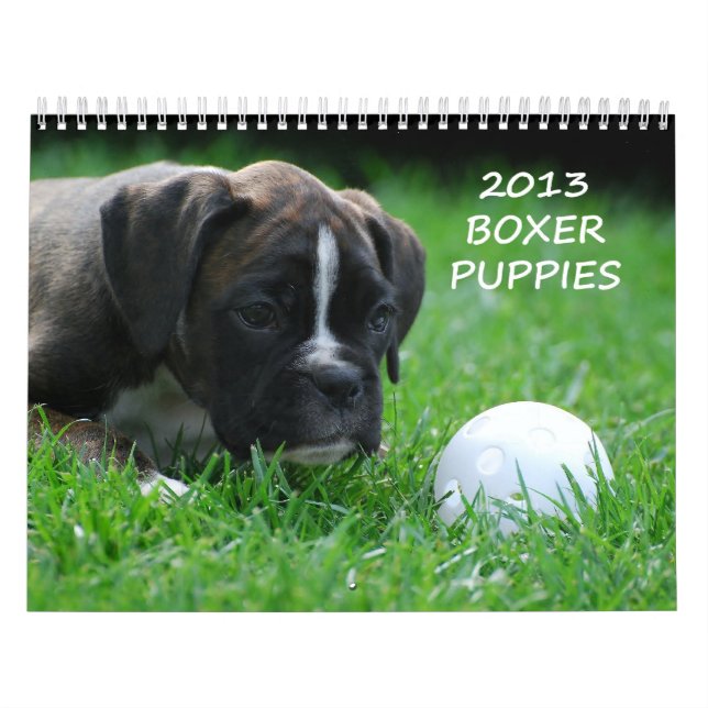 Boxarevalpkalender 2013 kalender (Omslag)