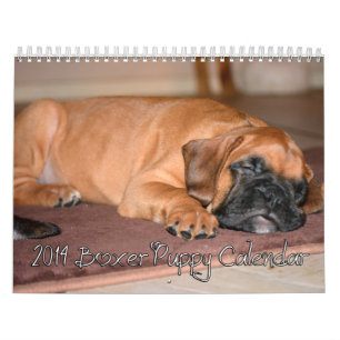 Boxarevalpkalender 2014 kalender