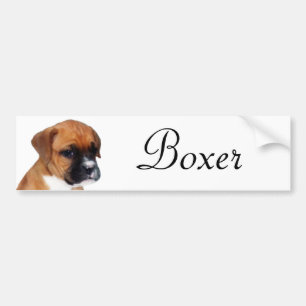 Boxarevalpklistermärke Bildekal