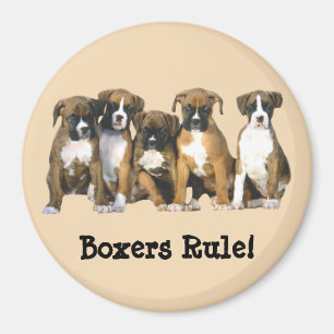 Boxarevalpmagnet Magnet