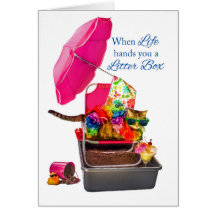 Boxas den roliga katten uppmuntrar, när livhänder