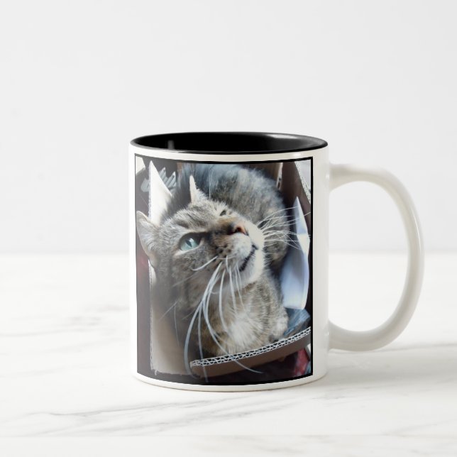 Boxas nolla-katten Två-Tonad mugg (Höger)