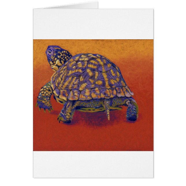 Boxas sköldpaddan, sköldpadda hälsningskort (Framsidan)