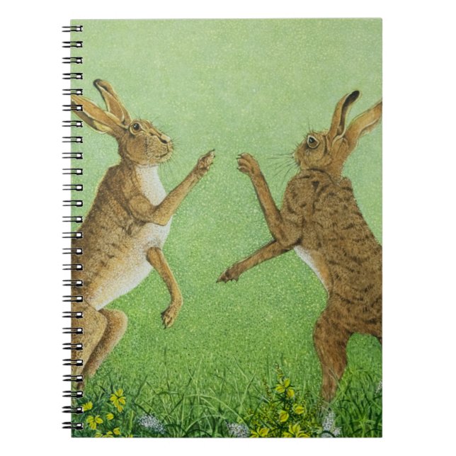 Boxas som är klyftigt anteckningsbok med spiral (Framsidan)