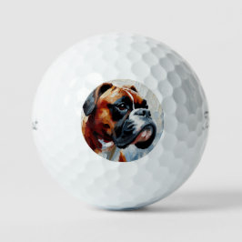 Boxer
