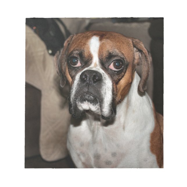 Boxer Anteckningsblock (Framsida)