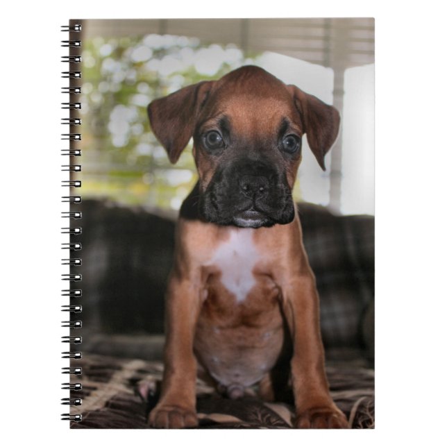 Boxer baby anteckningsbok med spiral (Framsidan)