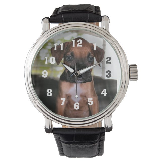 Boxer baby silver-halsband armbandsur (Framsida)