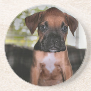 Boxer baby underlägg