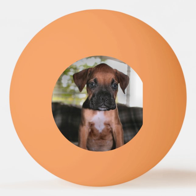 Boxer Bqby Pingisboll (Framsidan)