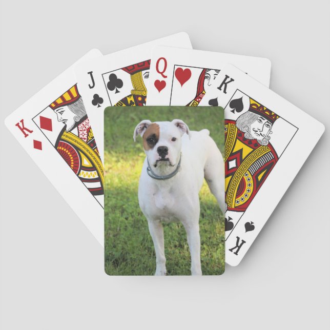 Boxer Casinokort (Baksidan)