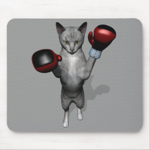 Boxer Cat Musmatta