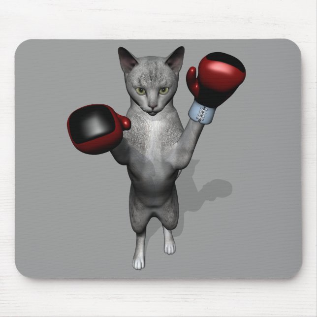 Boxer Cat Musmatta (Framsidan)