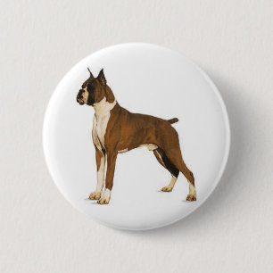 Boxer ceo knapp
