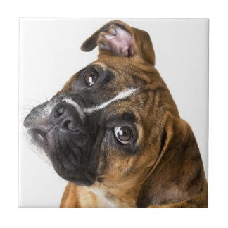 Boxer dog decorative tile kakelplatta
