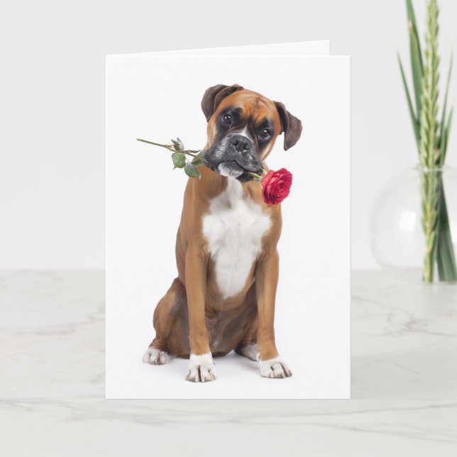 Boxer Dog Valentine Kort (Framsida)